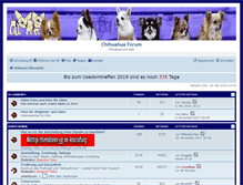 Tablet Screenshot of chiforum.de